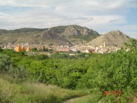 /album/campo-de-vuelo-de-ricote/dsc00350-jpg/